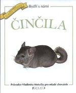 Cincila