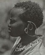 V kralovstvi divociny