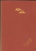 Nemravni Roman vyspivajiciho mladi