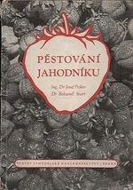 Pestovani jahodniku