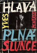 Hlava plna slunce