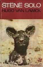 Stene Solo