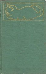 Kocky kocouri a kotata