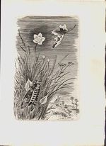 Proste motivy - Neruda Jan | antikvariat - detail knihy