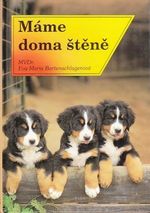 Mame doma stene