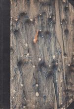 Profil ceske poesie a prosy od r1918