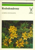Rododendrony