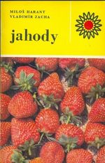 Jahody