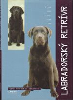 Labradorsky retrivr