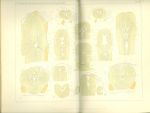 Vestnik kralovske ceske spolecnosti nauk1895 II  Trida mathemat  prirodovedecke | antikvariat - detail knihy