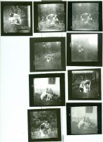 Konvolut soukromych fotografii - Petr Helbich | antikvariat - detail knihy