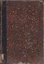 Zevrubne dejiny ceskeho pisemnictvi doby nove  Dil I Obdobi predbreznove