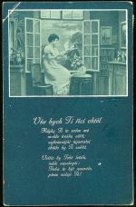 Vse bych Ti rici chtel 