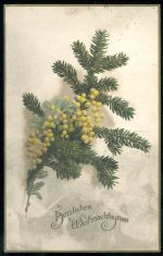 Herzlichen Weihnachtsgrass