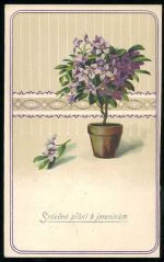 Srdecne prani k jmeninam