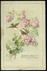 Srdecne prani k jmeninam | antikvariat - detail pohlednice