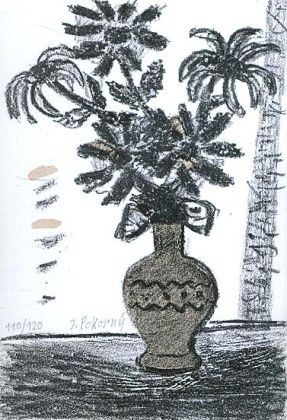 Kytice - Pokorny J | antikvariat - detail grafiky