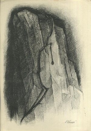 Krupej na skale - Jirincova Ludmila | antikvariat - detail grafiky