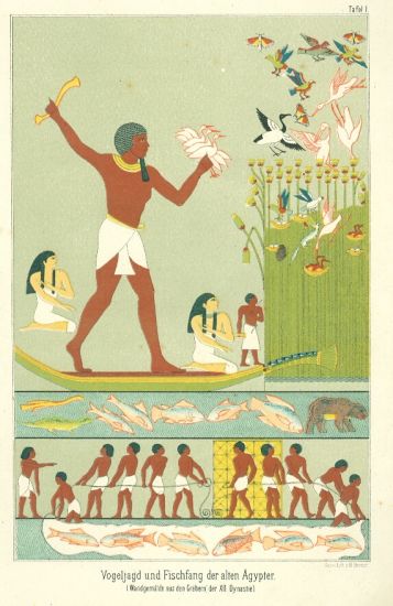 Egypt | antikvariat - detail grafiky