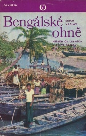 Bengalske ohne - Vaclav E | antikvariat - detail knihy