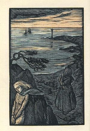 Ostrov lovcu tulenu - Gailit August | antikvariat - detail knihy