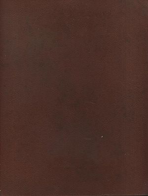 Die Agyptische Literatur - Pieper Max Dr | antikvariat - detail knihy