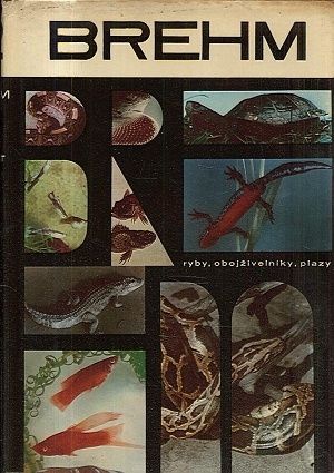 Brehm  Zivot zvierat 2  Ryby obojzivelniky plazy | antikvariat - detail knihy