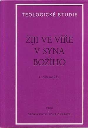 Ziji ve vire v Syna Boziho  Teologicke studie - Honek Alois | antikvariat - detail knihy