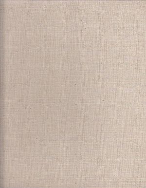 Cestou slavy Velka vlastenecka valka ocima fotoreportera - Ustinov AV | antikvariat - detail knihy