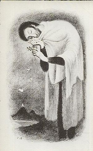 Machovske variace - Hora Josef | antikvariat - detail knihy