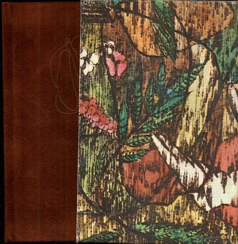 Mariana Radvakova - Kozak Jan | antikvariat - detail knihy