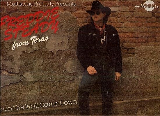 Freddie Steady  When The Wall Came Down | antikvariat - detail knihy