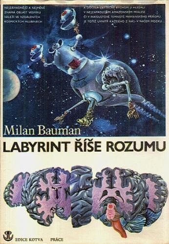 Labyrint rise rozumu  taje lidskeho mozku - Bauman Milan | antikvariat - detail knihy