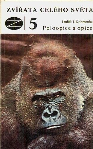Zvirata celeho sveta 5  Poloopice a opice - Dobroruka Ludek J | antikvariat - detail knihy