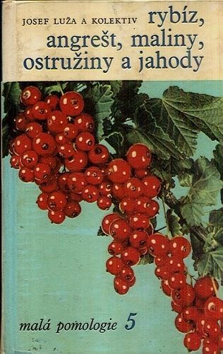 Rybiz angrest maliny ostruziny a jahody  Mala pomologie 5 - Luza Josef a kol | antikvariat - detail knihy