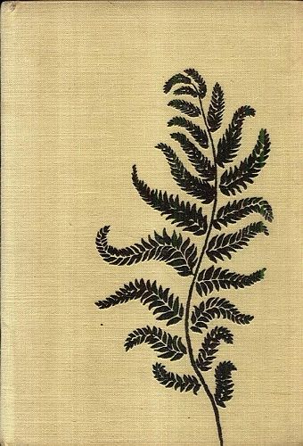 Skritek z certova kola - Pernica Bohuslav | antikvariat - detail knihy