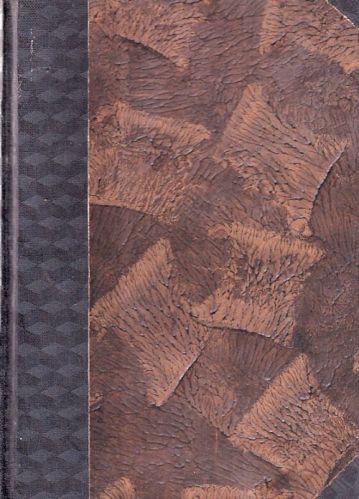 Gebauerova mluvnice ceska  II skladba - Ertl Vaclav | antikvariat - detail knihy