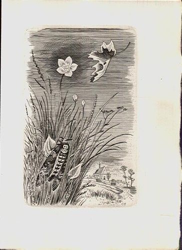 Proste motivy - Neruda Jan | antikvariat - detail knihy