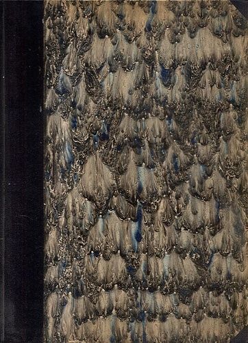 Pavi Ocko ve Lvi risi  detektivni pohadka - Silova Bohumila | antikvariat - detail knihy