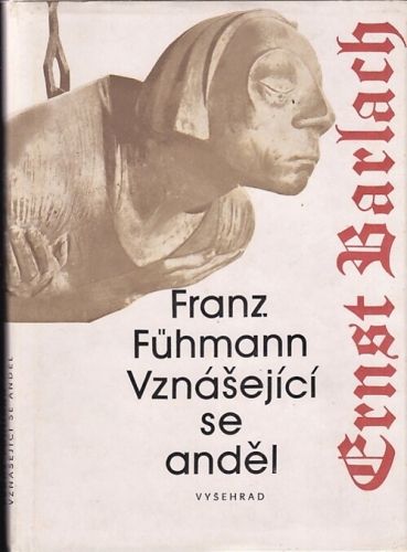 Vznasejici se andel - Fuhmann Franz | antikvariat - detail knihy