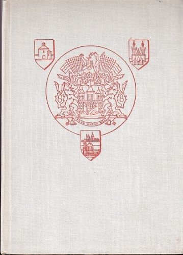 Mluva prazske architektury - Stefan Oldrich | antikvariat - detail knihy