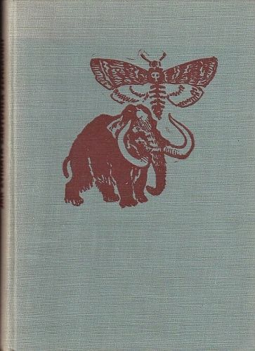 Jak zvirata zabydlela zemekouli - Maran Josef | antikvariat - detail knihy