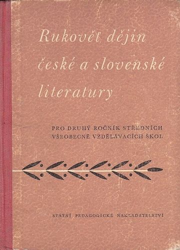 Rukovet dejin ceske a slovenske literatury - Tichy Vitezslav | antikvariat - detail knihy