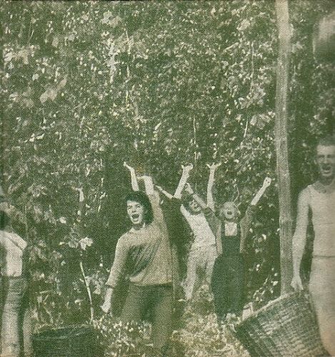 Starci na chmelu - Blazek Vratislav | antikvariat - detail knihy