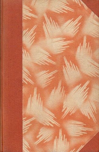 Slidici v Nemecku - Desgranges Piere | antikvariat - detail knihy