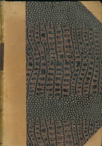 Australie a Antarktis  Velky zemepis vsech dilu sveta - Basl Josef | antikvariat - detail knihy