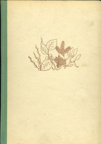 Les u reky - Tomecek Jaromir | antikvariat - detail knihy