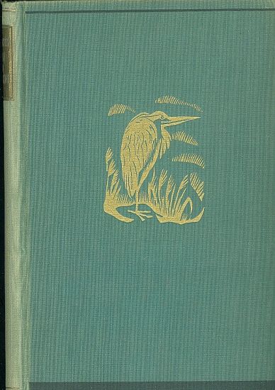 Boj o divocinu - Tolten H | antikvariat - detail knihy