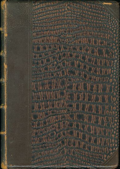 Dilo F X Saldy sv I  Juvenilie - Salda F X PODPIS AUTORA | antikvariat - detail knihy