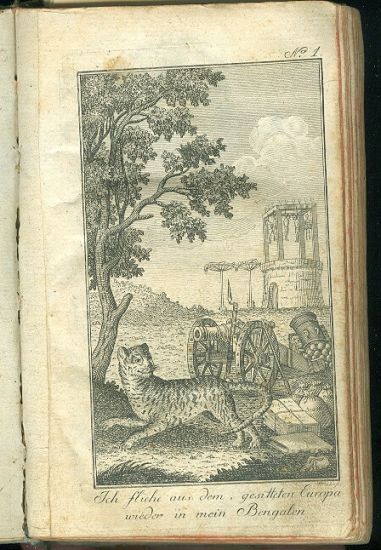 Der Tiger von Bengalen Ein Buch mit vielen Wahrheiten - Eckartshausen Karl von | antikvariat - detail knihy